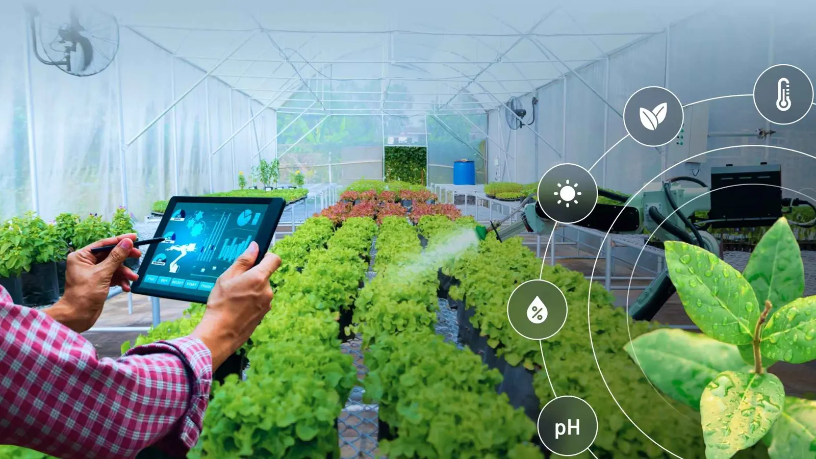 "الزراعة الذكية".. كيف تستخدم التكنولوجيا الحديثة لتحسين الإنتاجية؟