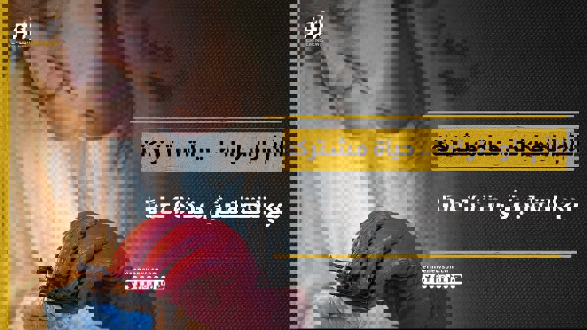 الأم الوطواط.. حياة مشتركة مع الخفافيش منذ 16 عامًا