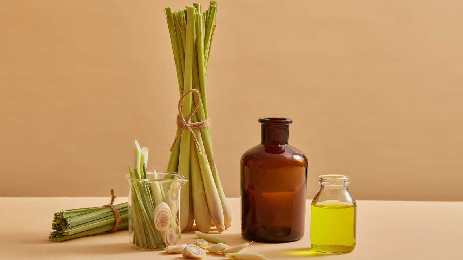 روائح طبيعية تنشط جسمك وعقلك.. تعّرف عليها