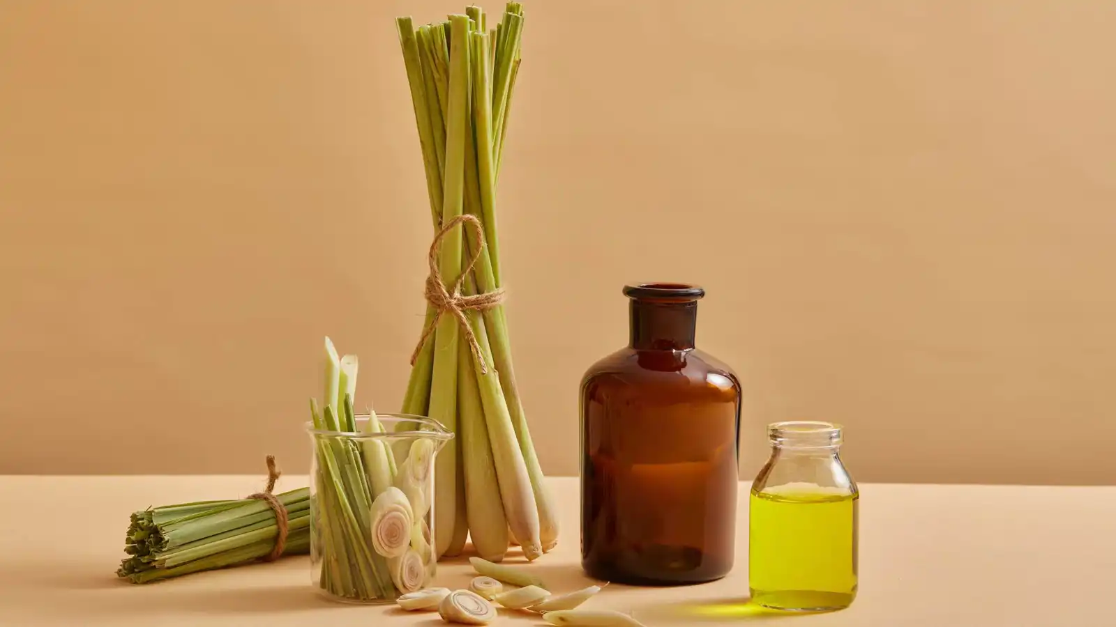 روائح طبيعية تنشط جسمك وعقلك.. تعّرف عليها