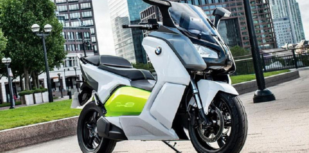 لص يقطع شجرةً في باريس لسرقة درّاجة (صورة)