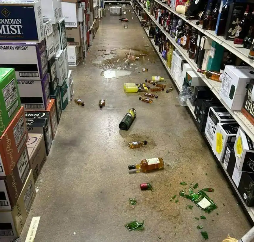 وجاجات الخمر التي أتلفها الراكون