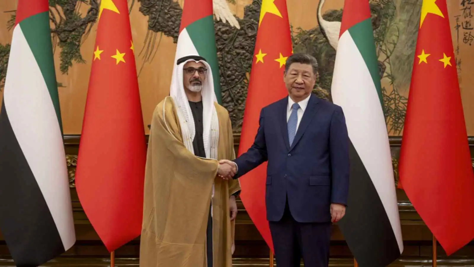 الرئيس الصيني وولي عهد أبوظبي يبحثان سبل تعزيز الشراكة