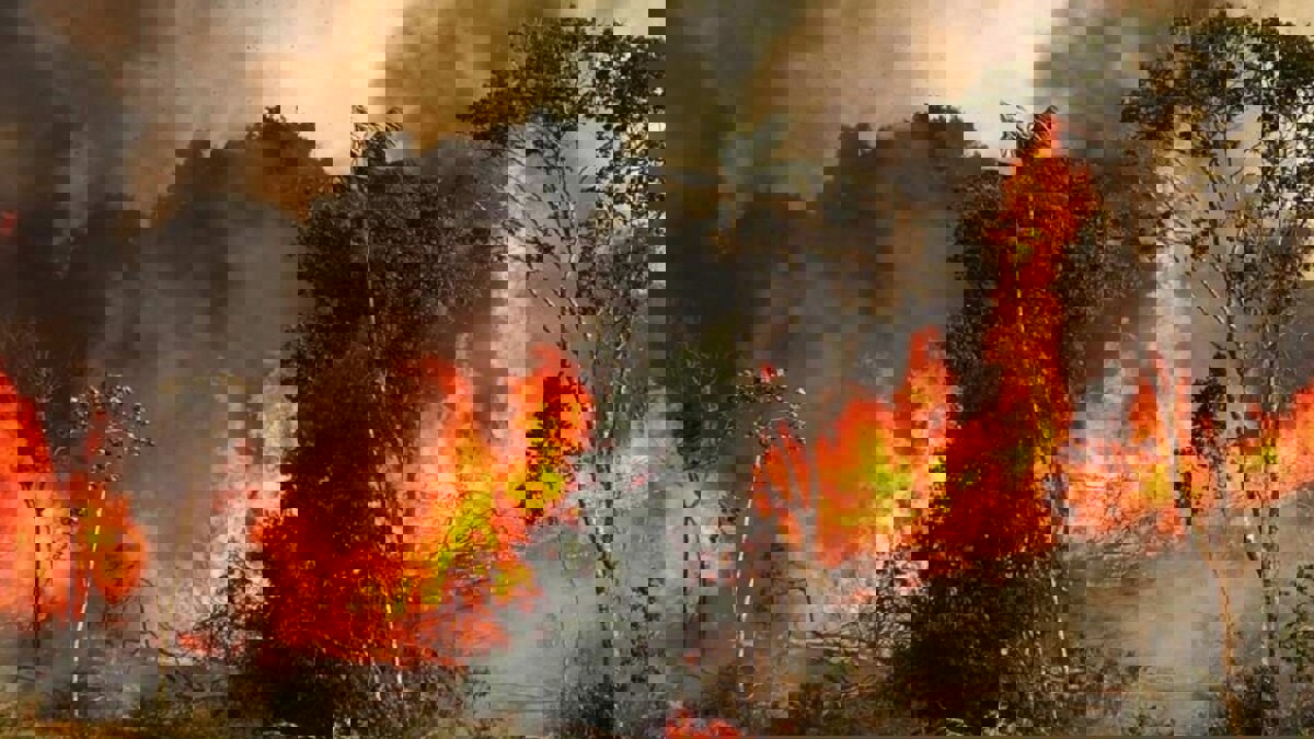 وكالة "ناسا" ترصد تهديدًا لتلوث الهواء جراء حرائق الأمازون بالبرازيل