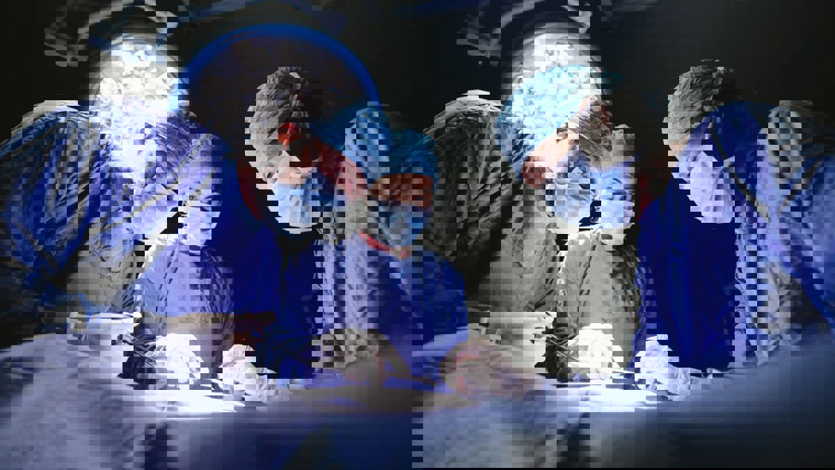 الإفتاء المصرية تحدد موقفها من زراعة عضو من الخنزير في جسم الإنسان