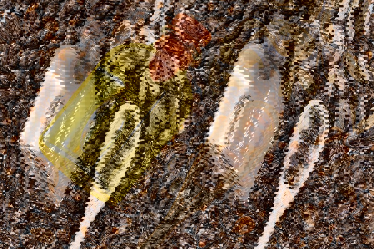 ترند شرب زيت الخروع لفقدان الوزن على تيك توك.. مخاطر وتحذيرات