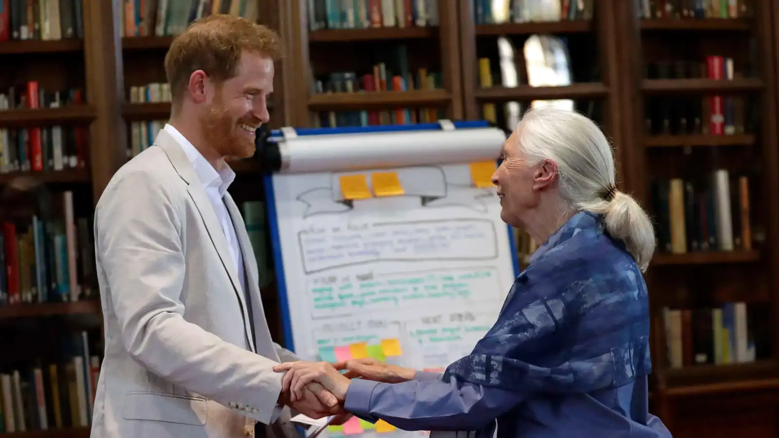 الأمير هاري وميغان ينعيان جين غودال