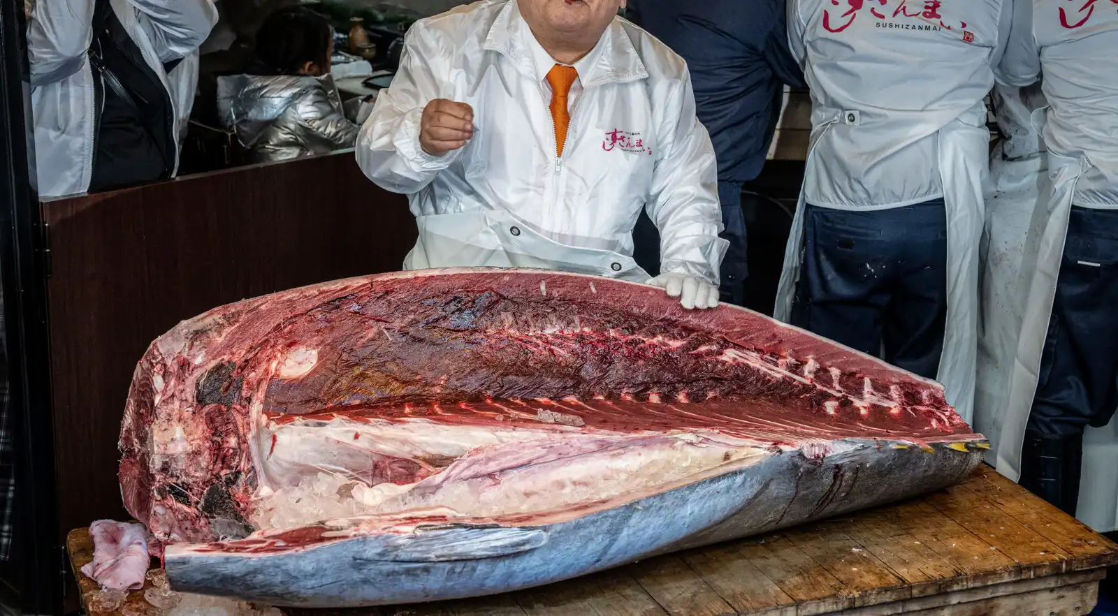 سمكة التونا الزرقاء