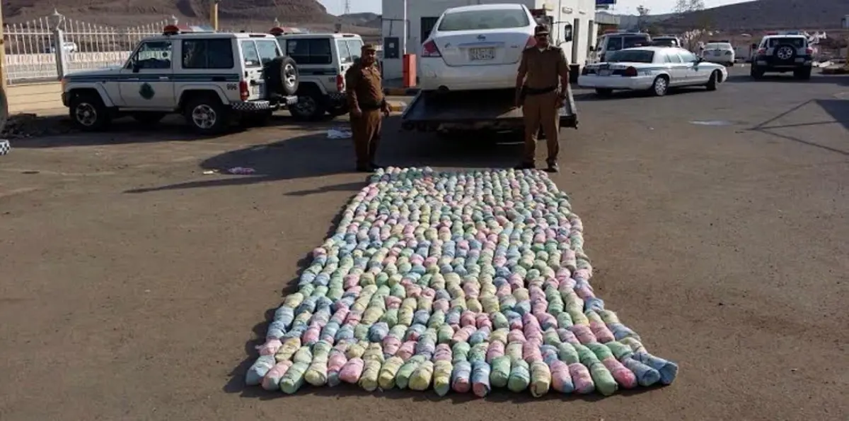 في أول تطبيق لقرار المنع.. السلطات بعدن تصدّ دخول شحنات من القات