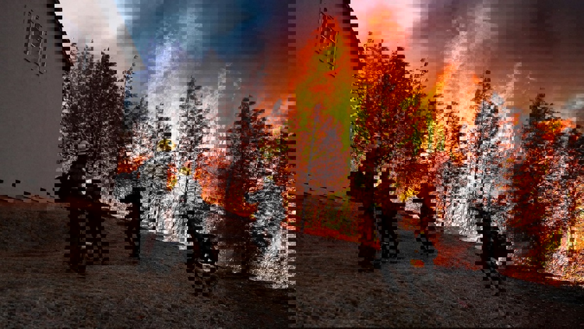 ارتفاع عدد ضحايا حرائق كاليفورنيا الأمريكية إلى 81 قتيلًا