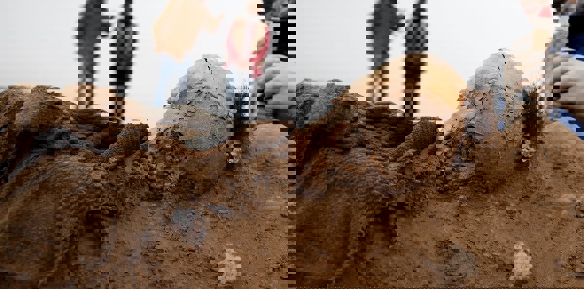 المغرب.. العثور على جثة امرأة مجهولة الهوية في النفايات