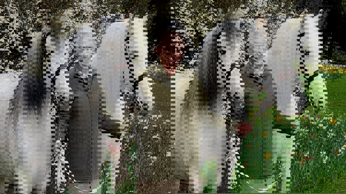 كم جنى الملك تشارلز من بيع خيول والدته الملكة إليزابيث؟

