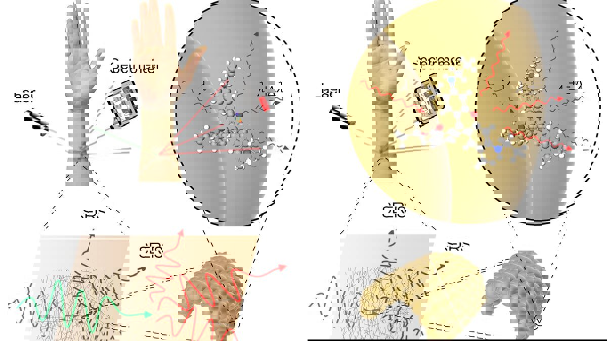 مستشعر من الذهب يحدد بدقة حالة الكائنات الحية
