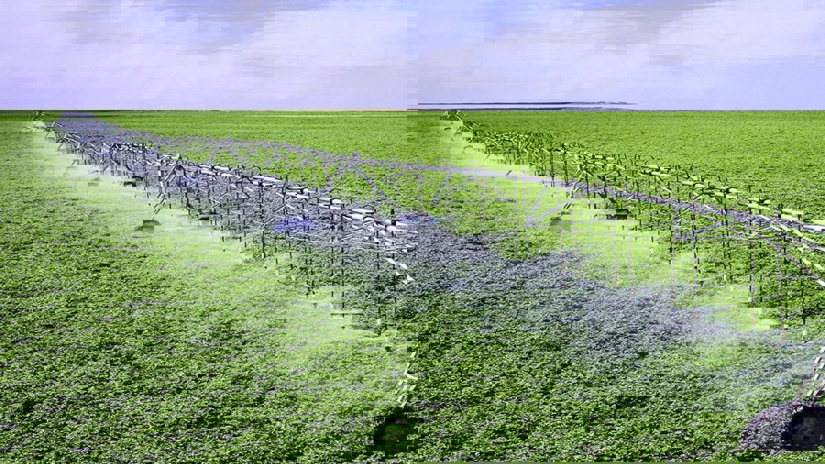 السعودية والإمارات ترسلان سفينة أسمدة لإنقاذ الموسم الزراعي بالسودان