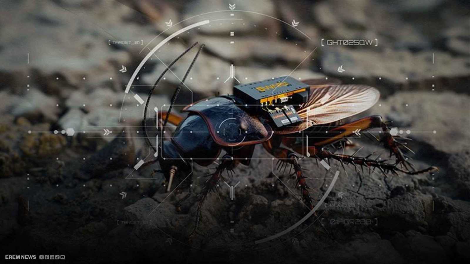 "صراصير تجسسية" تحلّ محل أعين المخابرات.. هل سمعت عنها؟ (فيديو إرم)