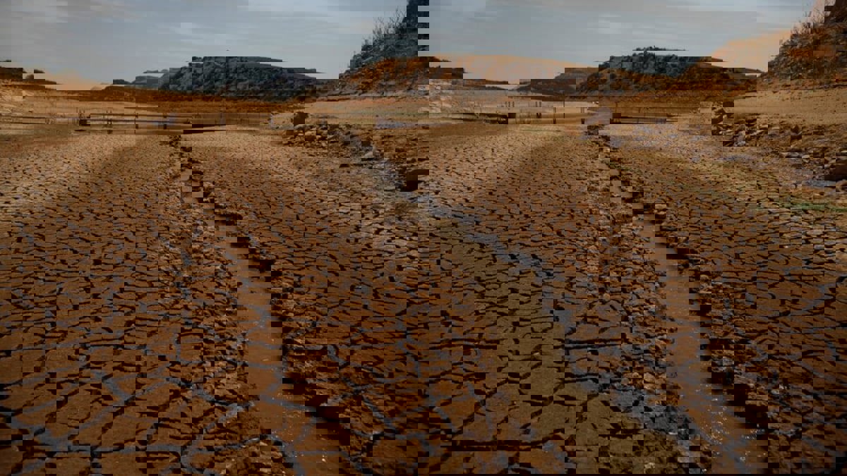 الجفاف ينخر اقتصاد إسبانيا ويكبده خسائر بملياري يورو