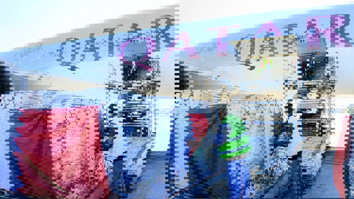 مساعدات غذائية قطرية تثير جدلا واسعا في تونس (فيديو)