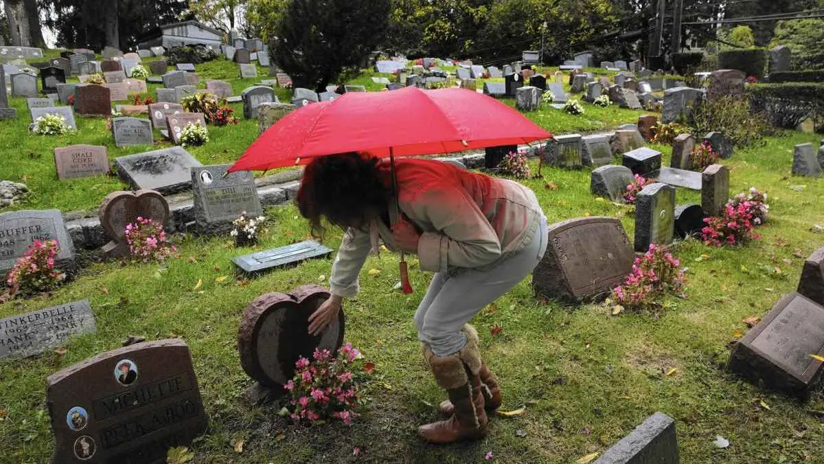 اليابان.. مقابر مشتركة للحيوانات الأليفة "والحشرات" إلى جانب أصحابها