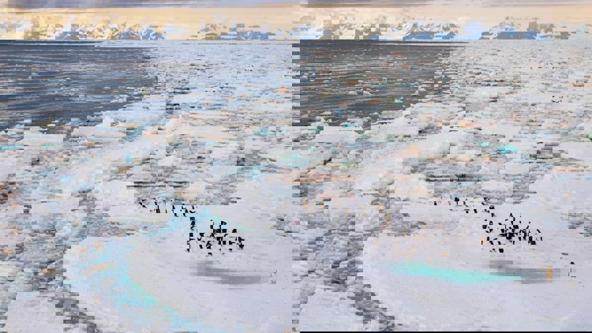 تعرف على أكبر المحميات الطبيعية على امتداد القارات السبع (صور)