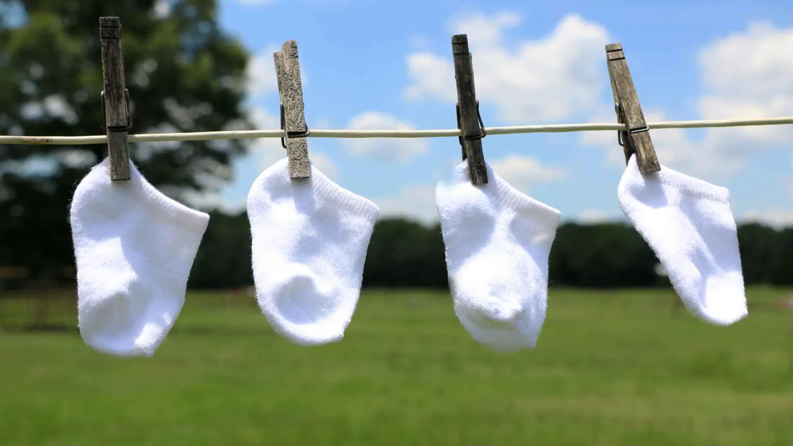 ولادة نادرة في الجزائر.. أم تنجب 4 توائم بعملية ناجحة