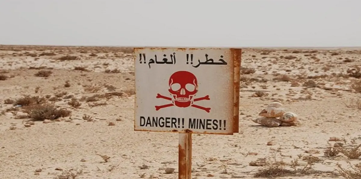 آكلة الألغام.. نباتات تطهر الأراضي من مخلفات الحروب