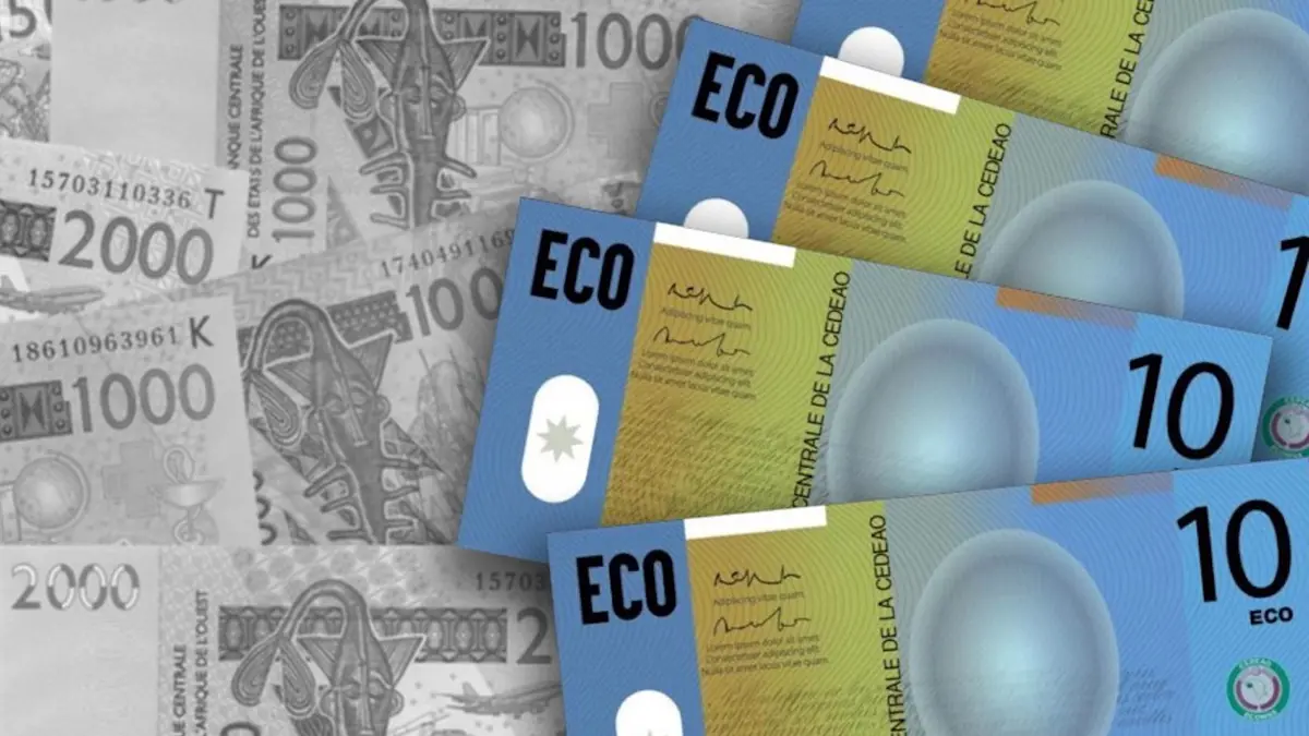 دول غرب أفريقيا تتبنى خارطة جديدة لطرح عملة موحدة في 2027