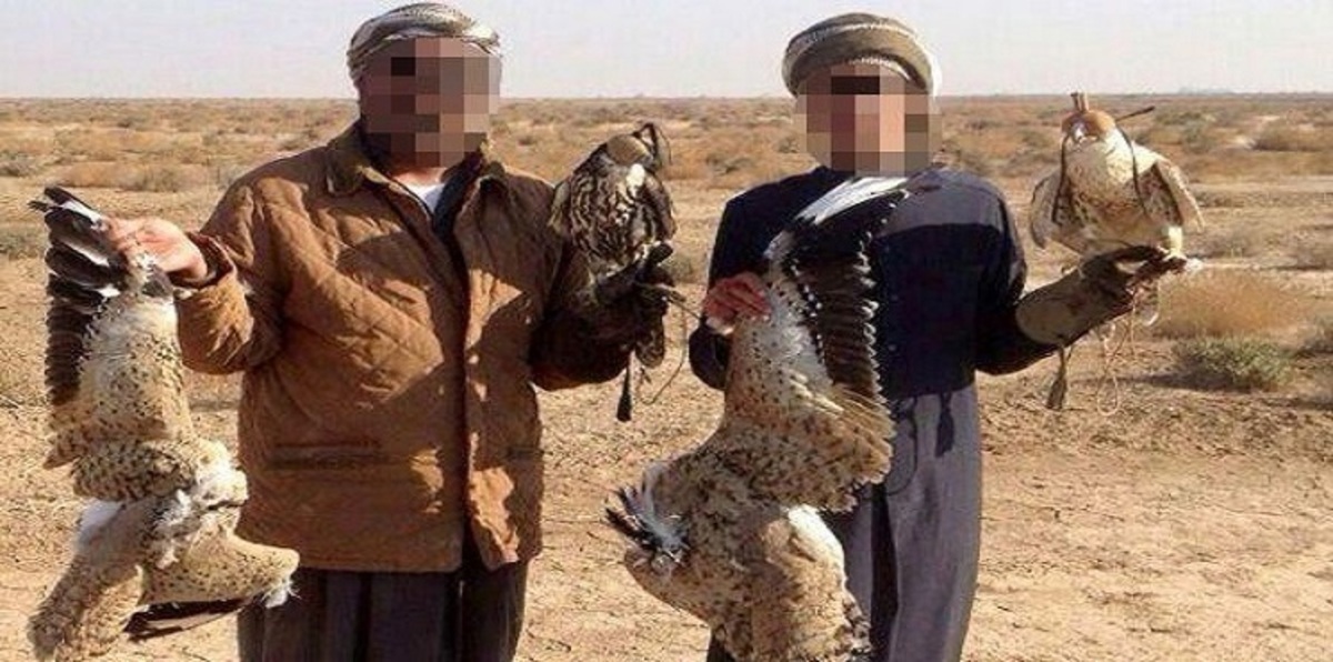 إيران تغرّم 3 خليجيين 90 ألف دولار بتهمة ممارسة الصيد (صور)