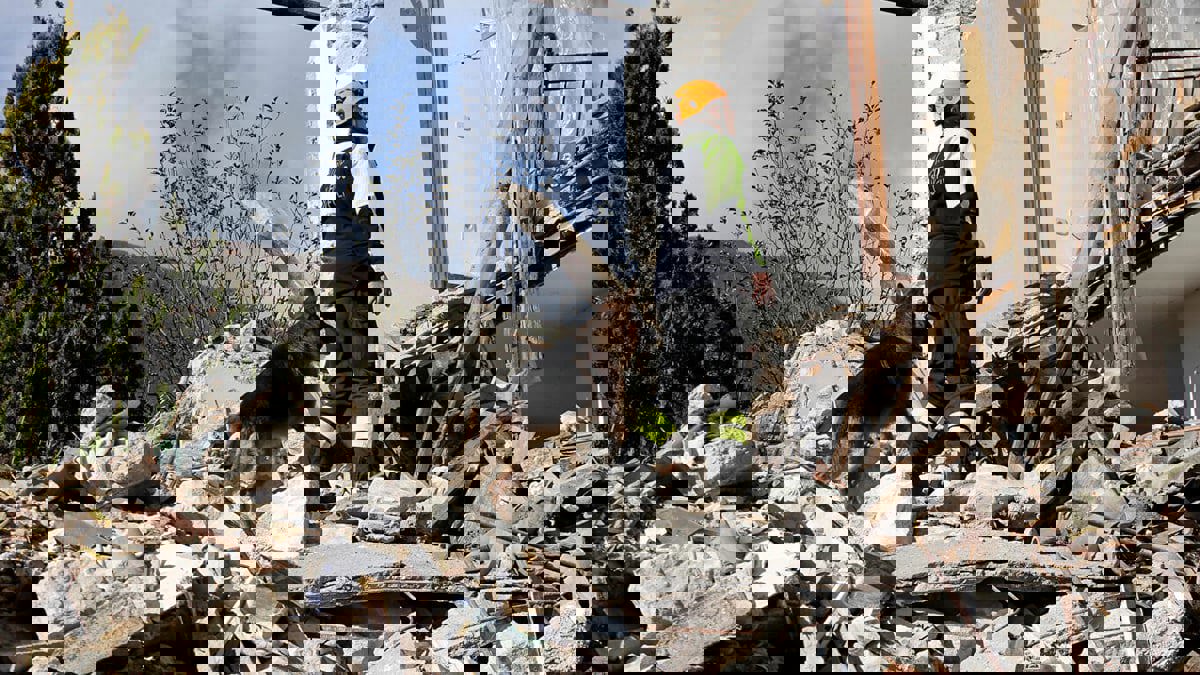 إيران.. 5 قتلى في زلزال هرمزغان جنوب البلاد