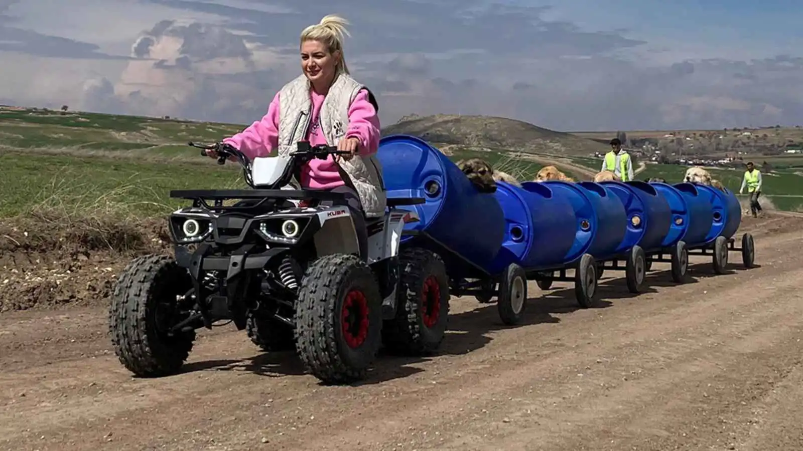 التبرعات بالملايين.. تهم فساد في أشهر جمعية لرعاية الكلاب في تركيا (فيديو)