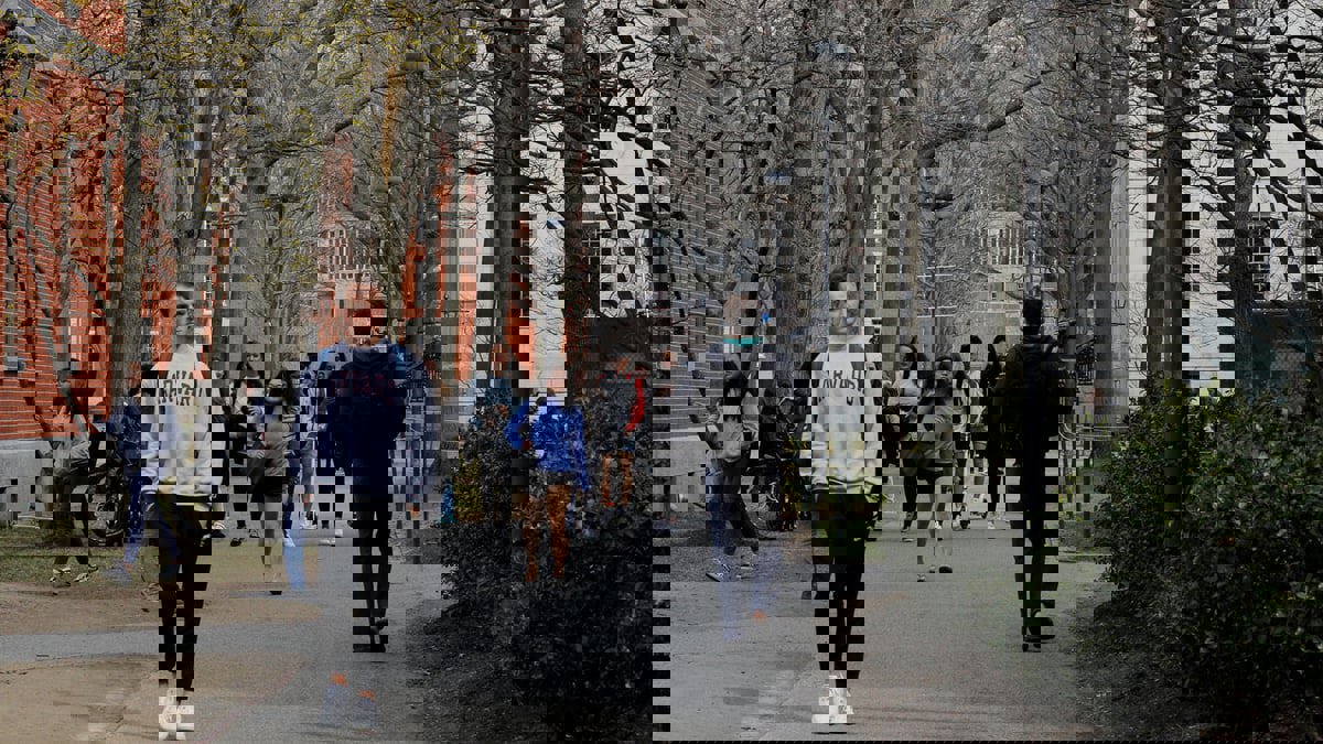 بعد معركة قضائية طويلة.. حظر المعايير العرقية والإثنية في الجامعات الأمريكية