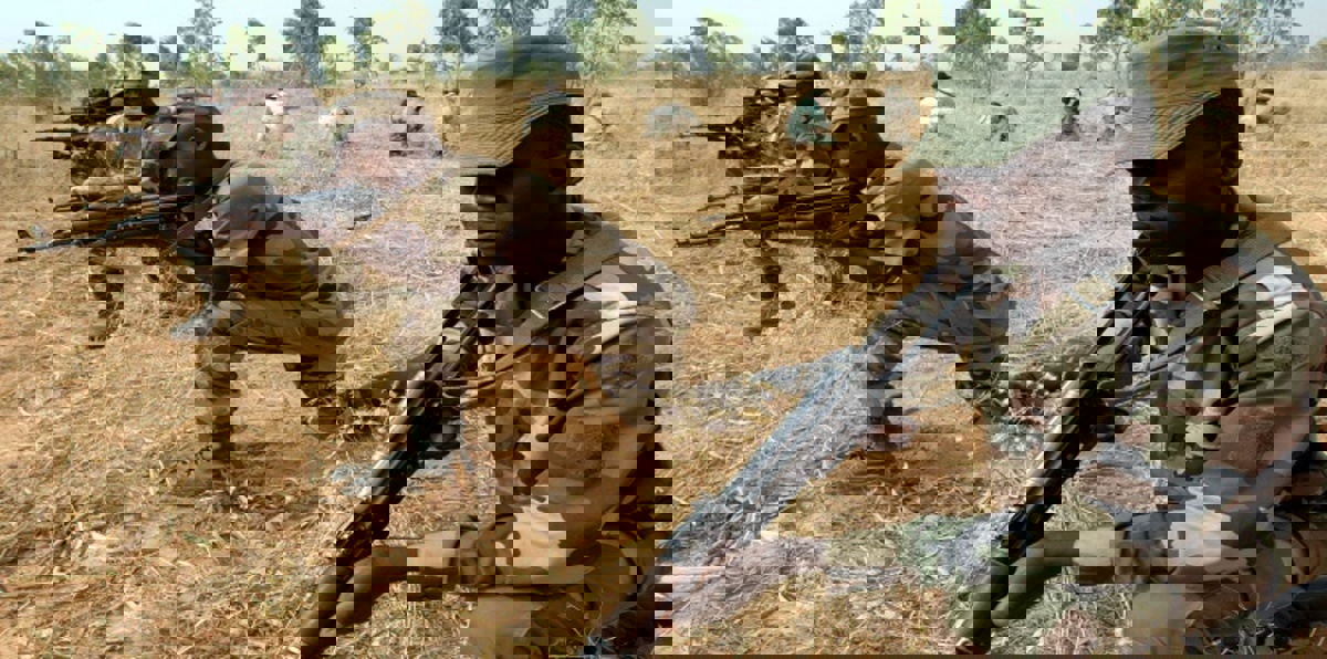 قوات سنغالية تدخل غامبيا وتتجول في القرى الحدودية