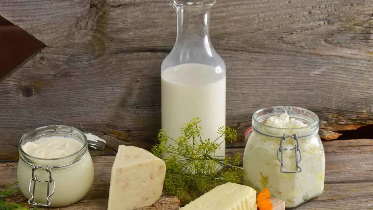 الحليب "المخمّر" و"العادي".. أيهما أفضل لصحة النساء؟