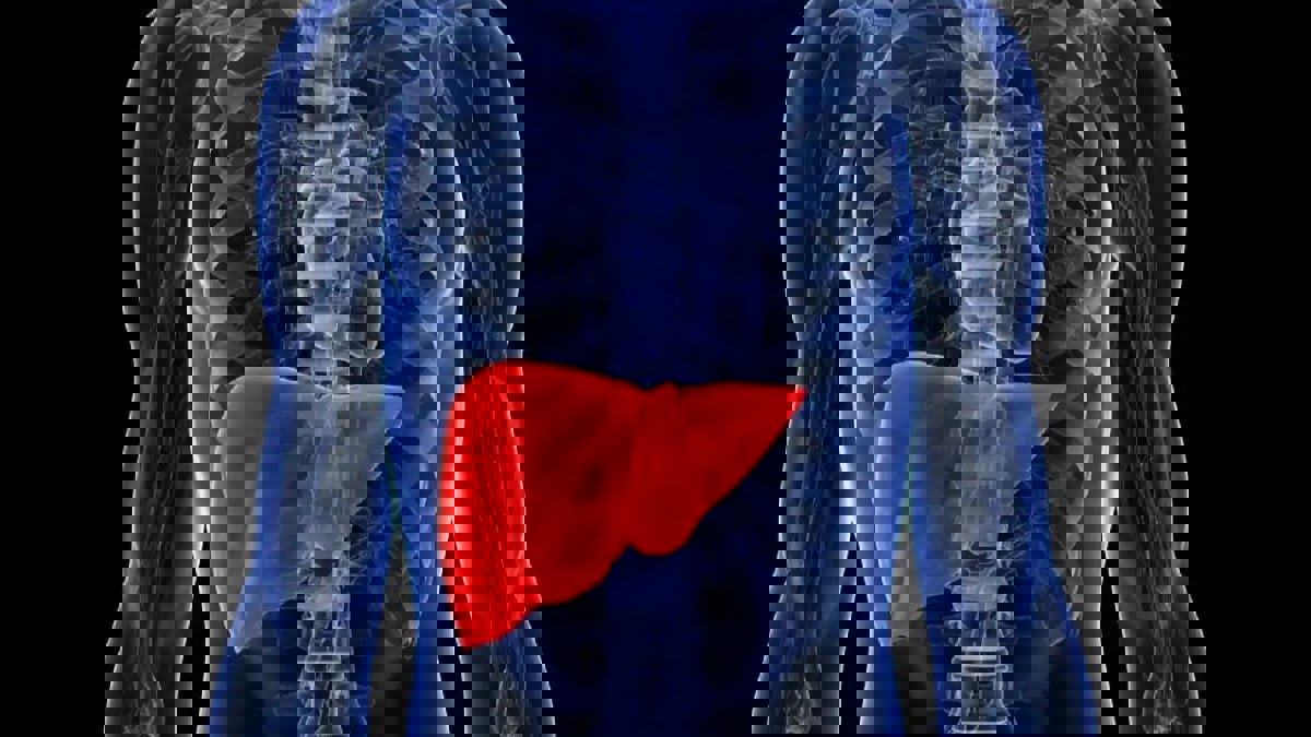 دراسة: فقدان الرغبة الجنسية قد يشير إلى مرض الكبد الدهني