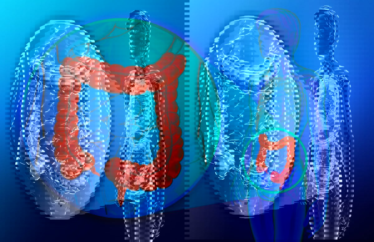 اكتشاف علاج جديد لمتلازمة القولون العصبي
