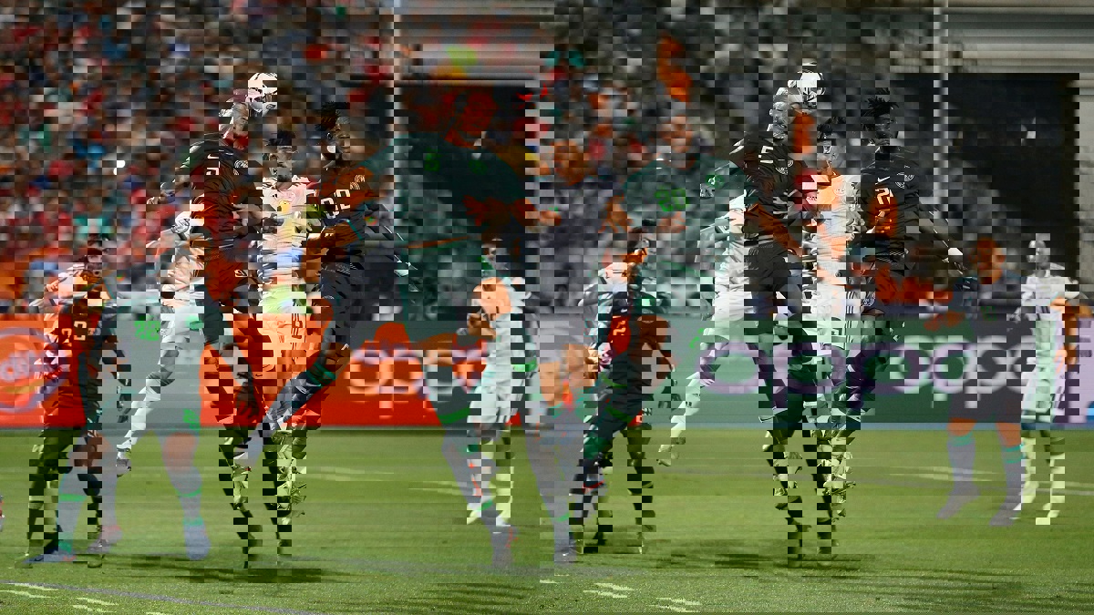 أهداف مباراة الجزائر ونيجيريا.. 1/2 لمحاربي الصحراء (فيديو)