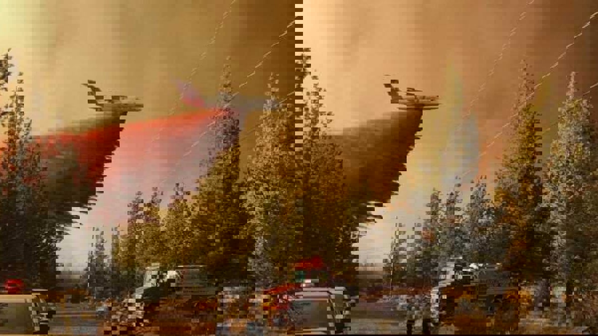 رياح شديدة تؤجج حرائق الغابات جنوب غرب الولايات المتحدة