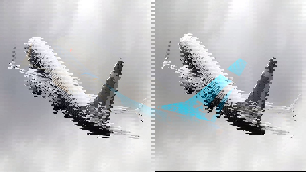 إنقاذ طيارين أمريكيين هبطا اضطراريًا بطائرة شحن "بوينج 737" في المياه