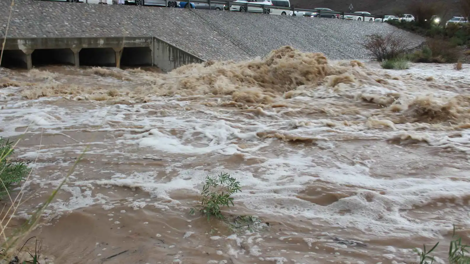 4 وفيات بسبب سوء الأحوال الجوية والسيول في سلطنة عمان (فيديو)