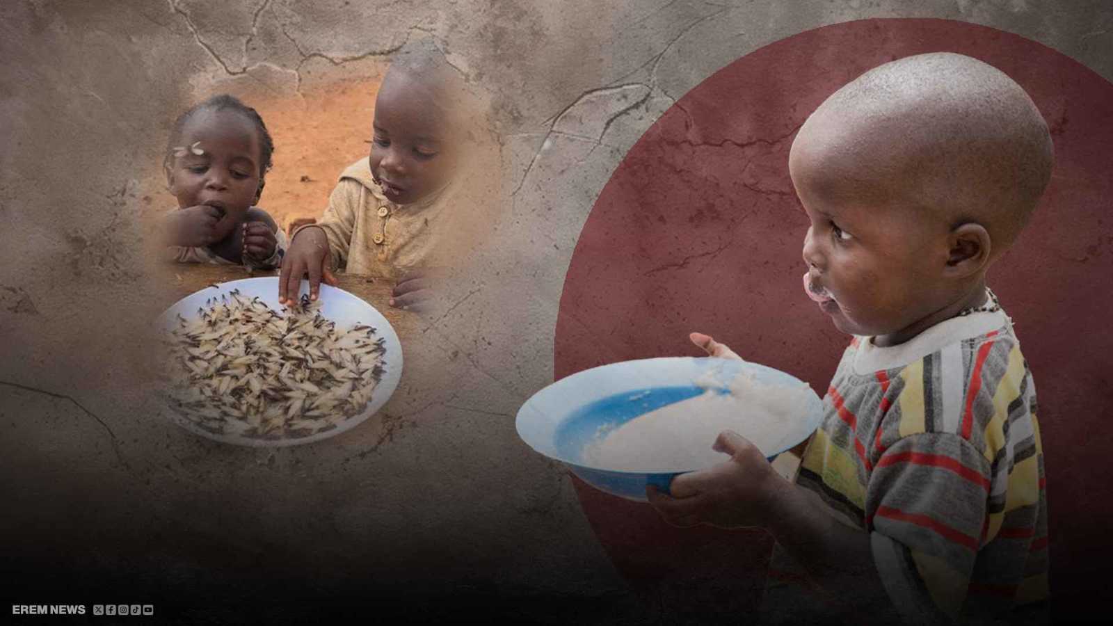 وجبات النجاة.. حين يصبح النمل غذاء الأطفال في أوغندا