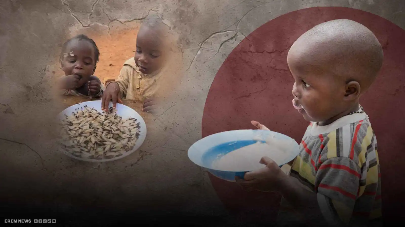 النمل الأبيض على موائد الطفولة