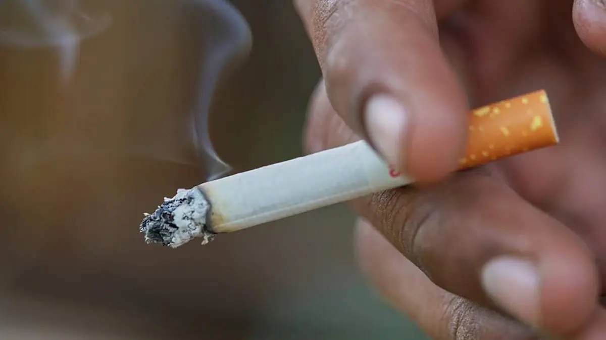 تقنية جديدة لخفض المركبات الكيميائية الضارة في التبغ