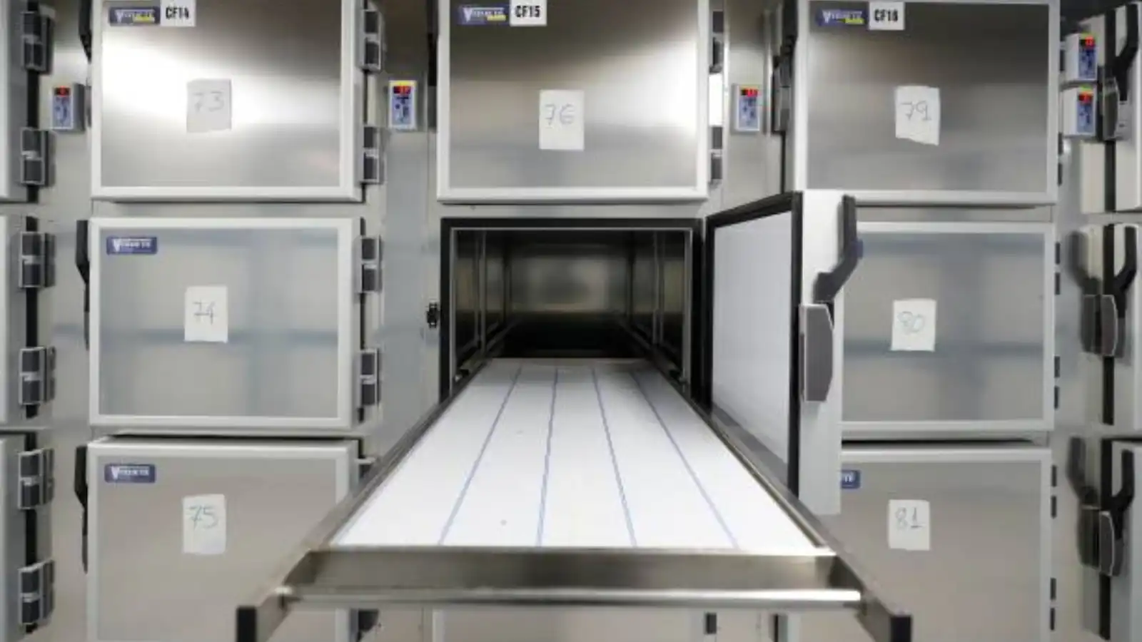 عائلة مصرية تفجع بوفاة الأب بعد أيام من رحيل ابنه المفاجئ (صور)