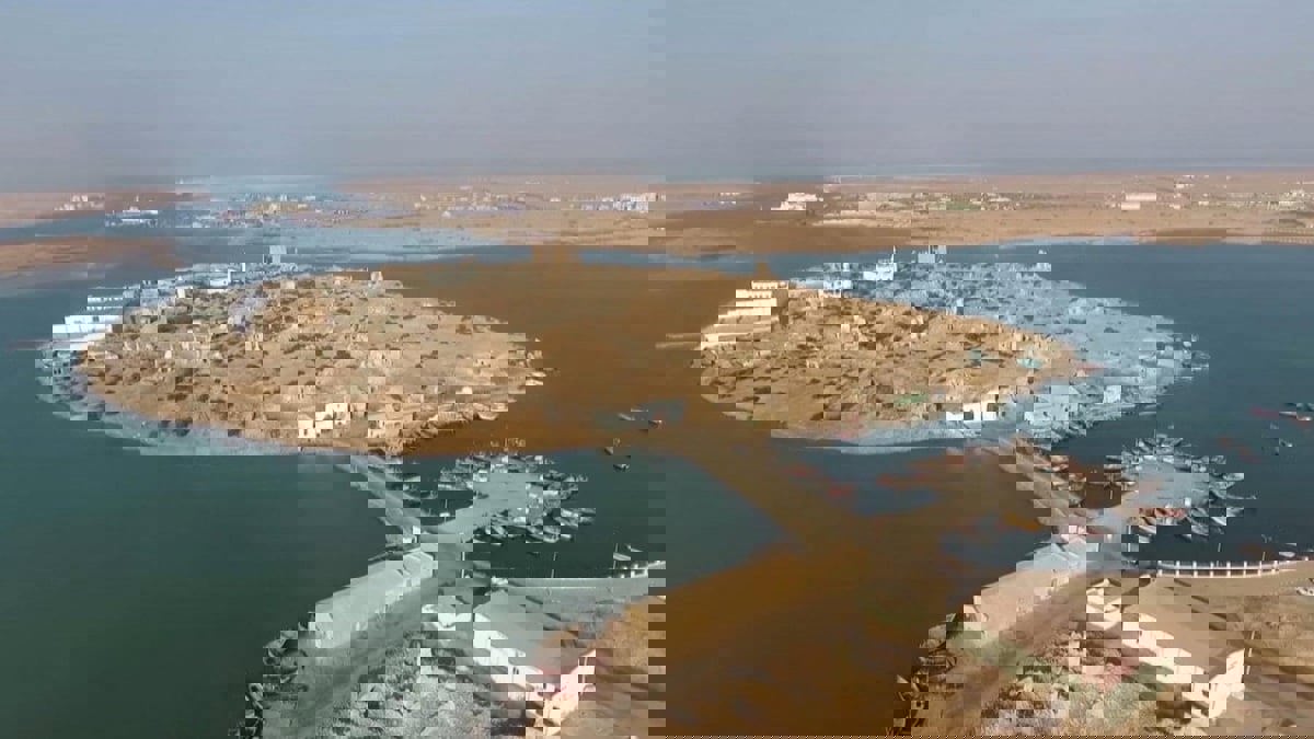 بدء صرف التعويضات لملاك العقارات الواقعة ضمن مشروع نيوم‎‎