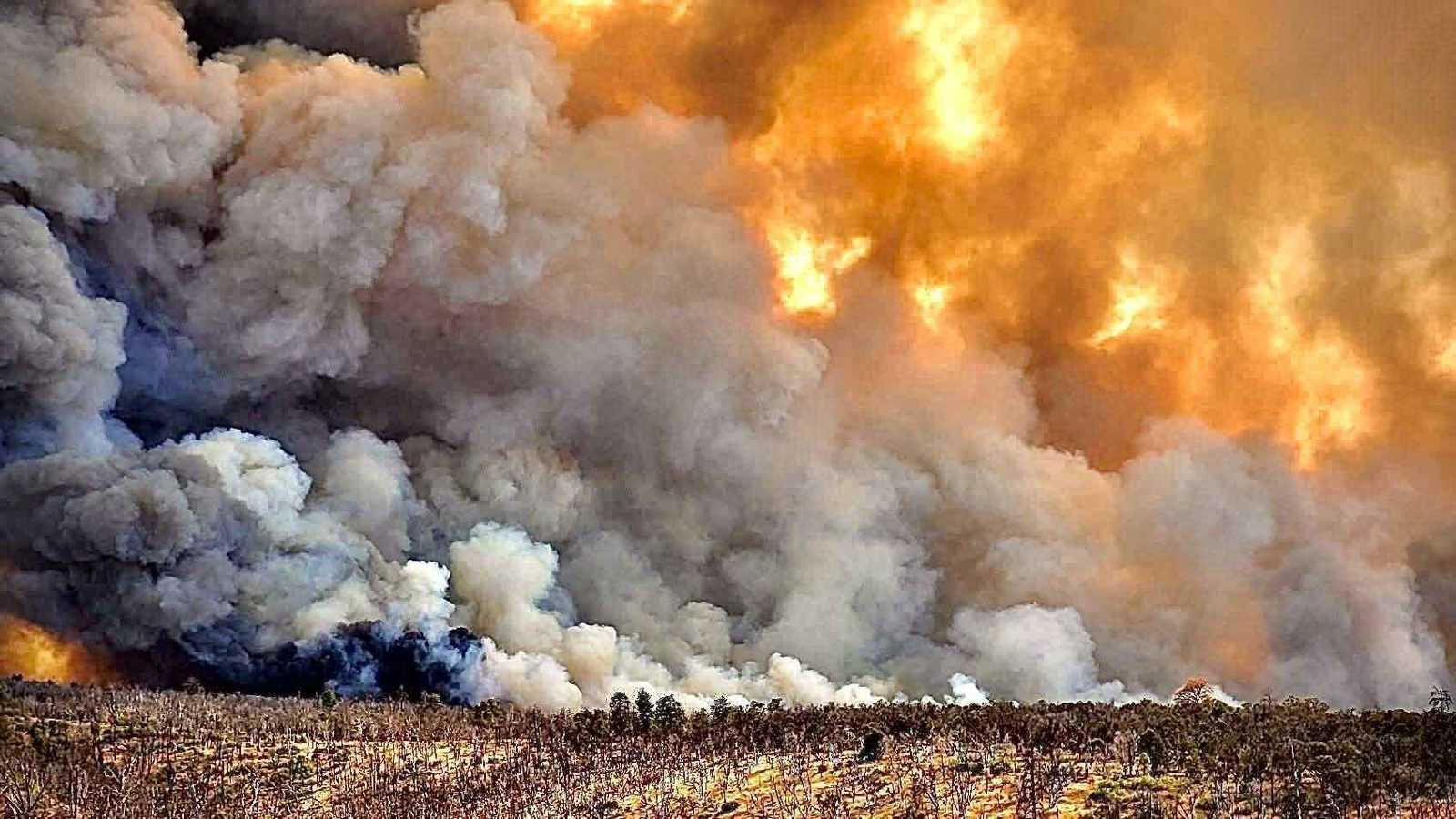 حريق ضخم يلتهم ثلث متنزه وطني في ناميبيا (فيديو)