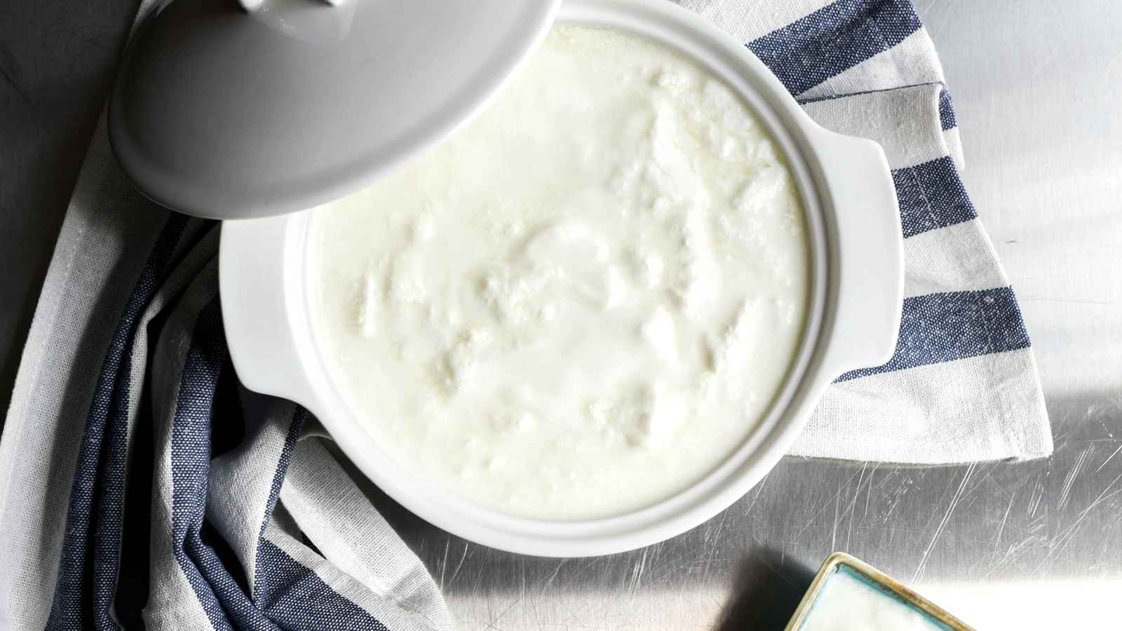 ما أفضل توقيت لتناول البروبيوتيك لتعزيز صحة الأمعاء؟