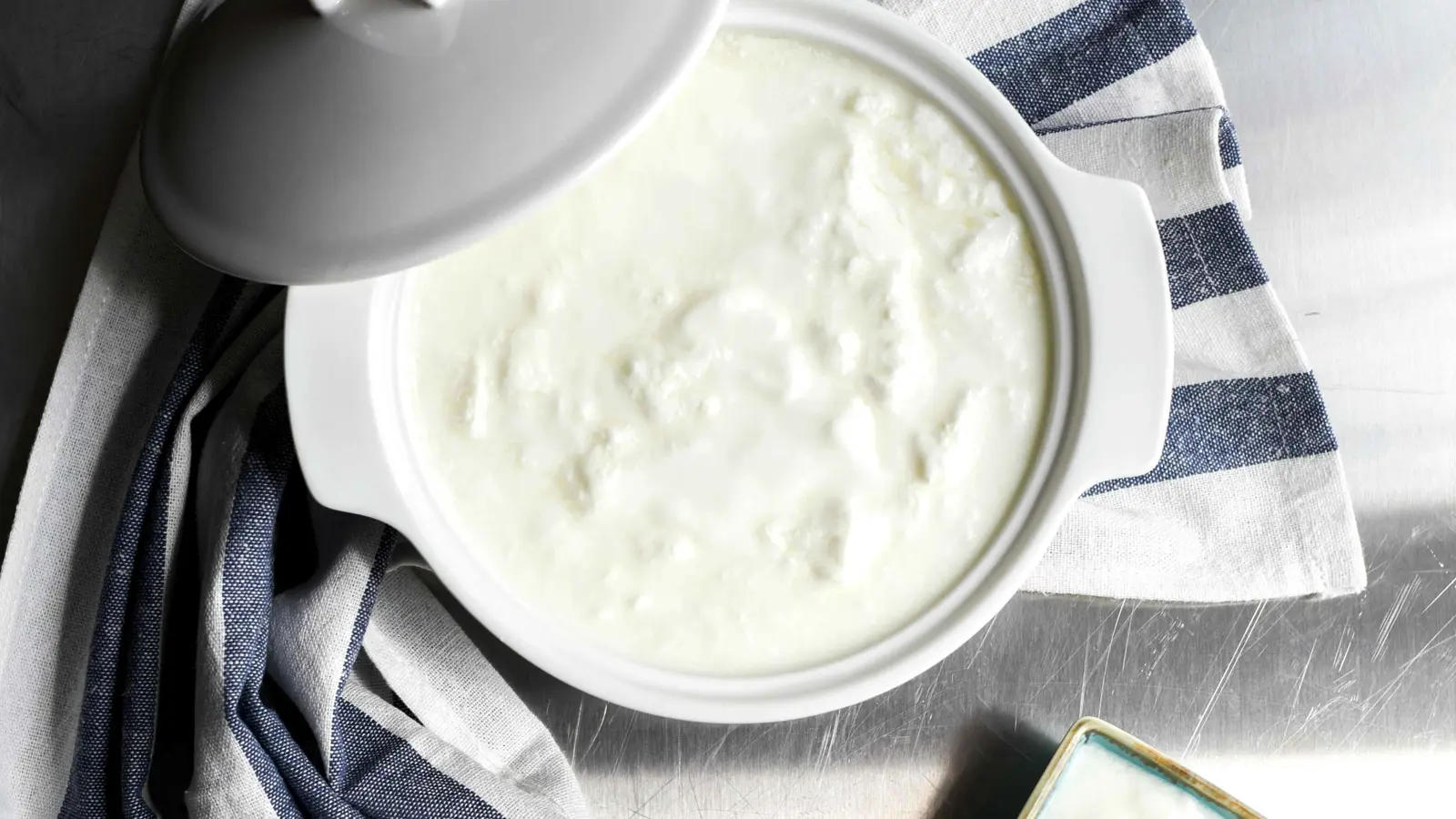 ما أفضل توقيت لتناول البروبيوتيك لتعزيز صحة الأمعاء؟