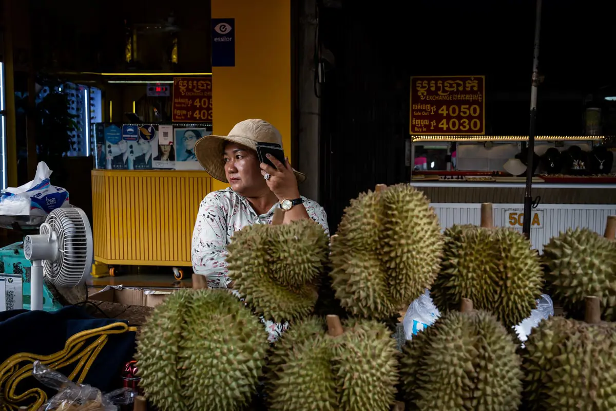 تسقط كالقذائف.. شبان يخاطرون بحياتهم لجني ثمار "الدوريان" (فيديو)