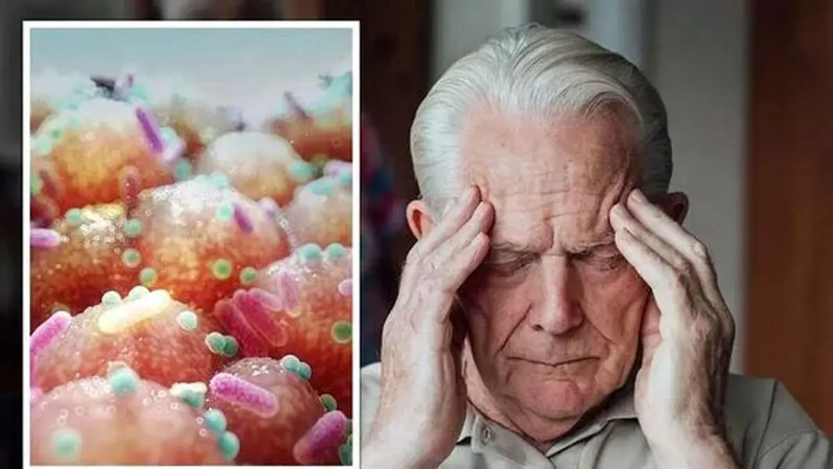 المأكولات الغنية بالألياف تحمي من الخرف 

