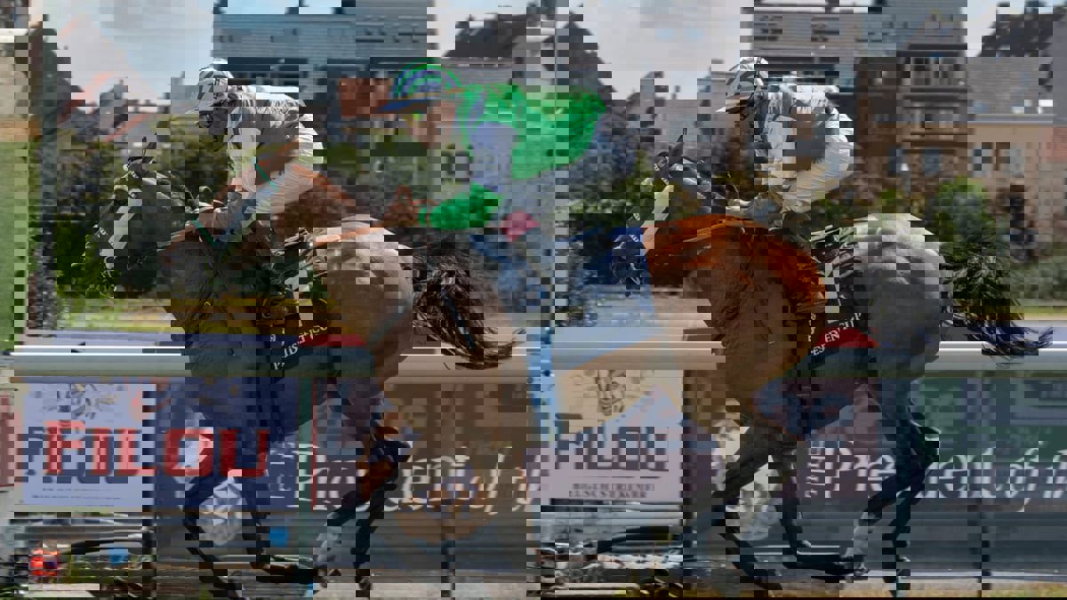 الجواد "جارف" يحرز لقب كأس رئيس الإمارات للخيول العربية في بلجيكا