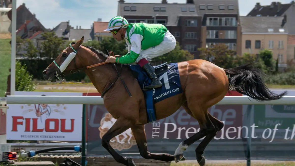 الجواد "جارف" يحرز لقب كأس رئيس الإمارات للخيول العربية في بلجيكا